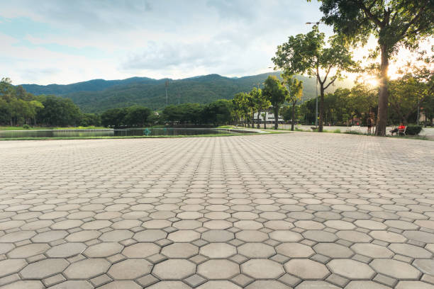 Best Residential Driveway Paver Services  in Geneva, OH